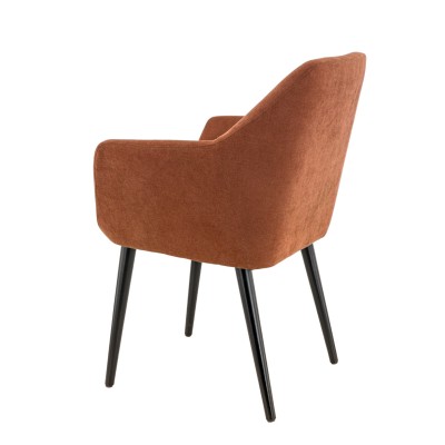 Roméo - Pied - Noir